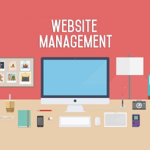 Website Management Monthly