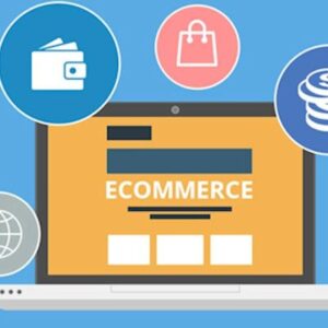 Ecommerce wordpress site for businesses